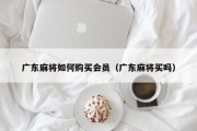 广东麻将如何购买会员（广东麻将买吗）