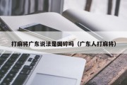 打麻将广东说法是国碎吗（广东人打麻将）