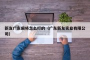 新友广东麻将怎么打的（广东新友实业有限公司）