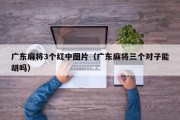 广东麻将3个红中图片（广东麻将三个对子能胡吗）