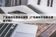 广东麻将东西南北圈数（广东麻将东南西北算顺子吗）