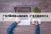 广东打麻将顺口溜的暗号（广东打麻将叫什么）