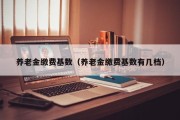养老金缴费基数（养老金缴费基数有几档）