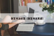 张芝书法欣赏（张芝书法真迹）