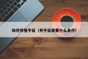 如何养殖平菇（养平菇需要什么条件）