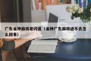 广东雀神麻将老闪退（雀神广东麻将进不去怎么回事）