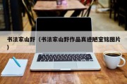 书法家山野（书法家山野作品真迹陋室铭图片）