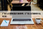 广东人打牌就是打麻将吗（广东人打麻将什么玩法）